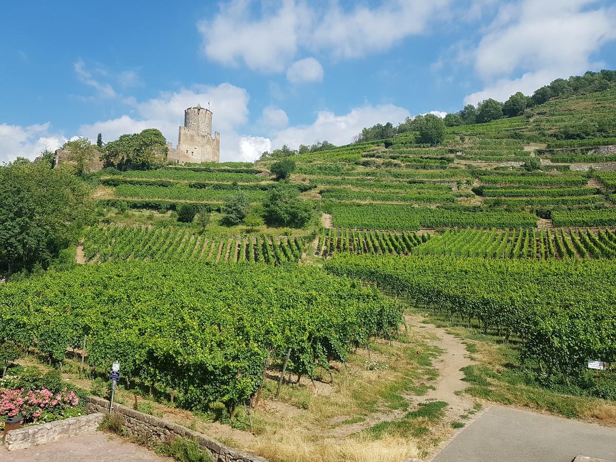 Kaysersberg City Center - Cote Vignoble - Bagian luar foto